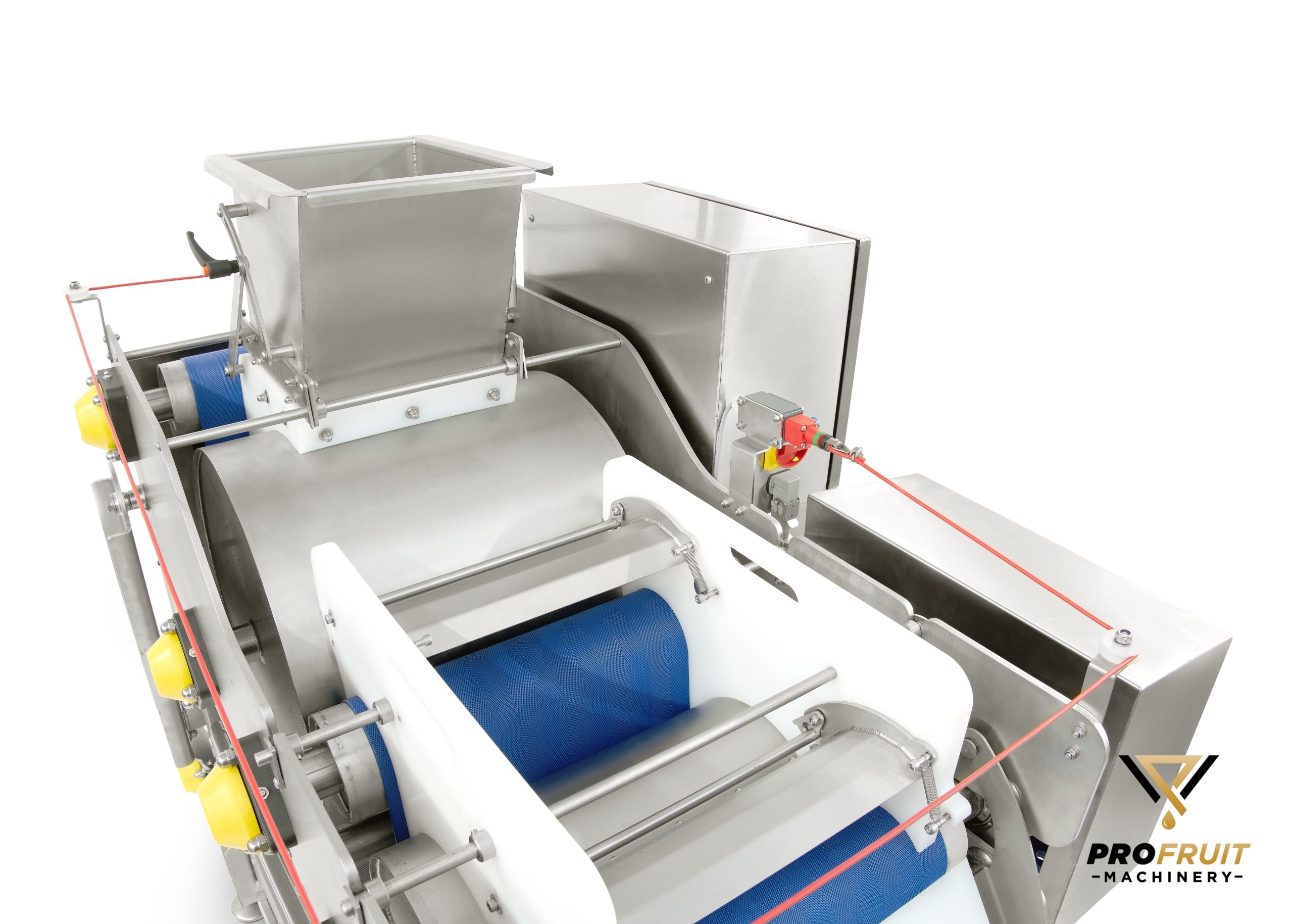 www.dkfoto.lt Belt press for processing various fruits, berries and vegetables